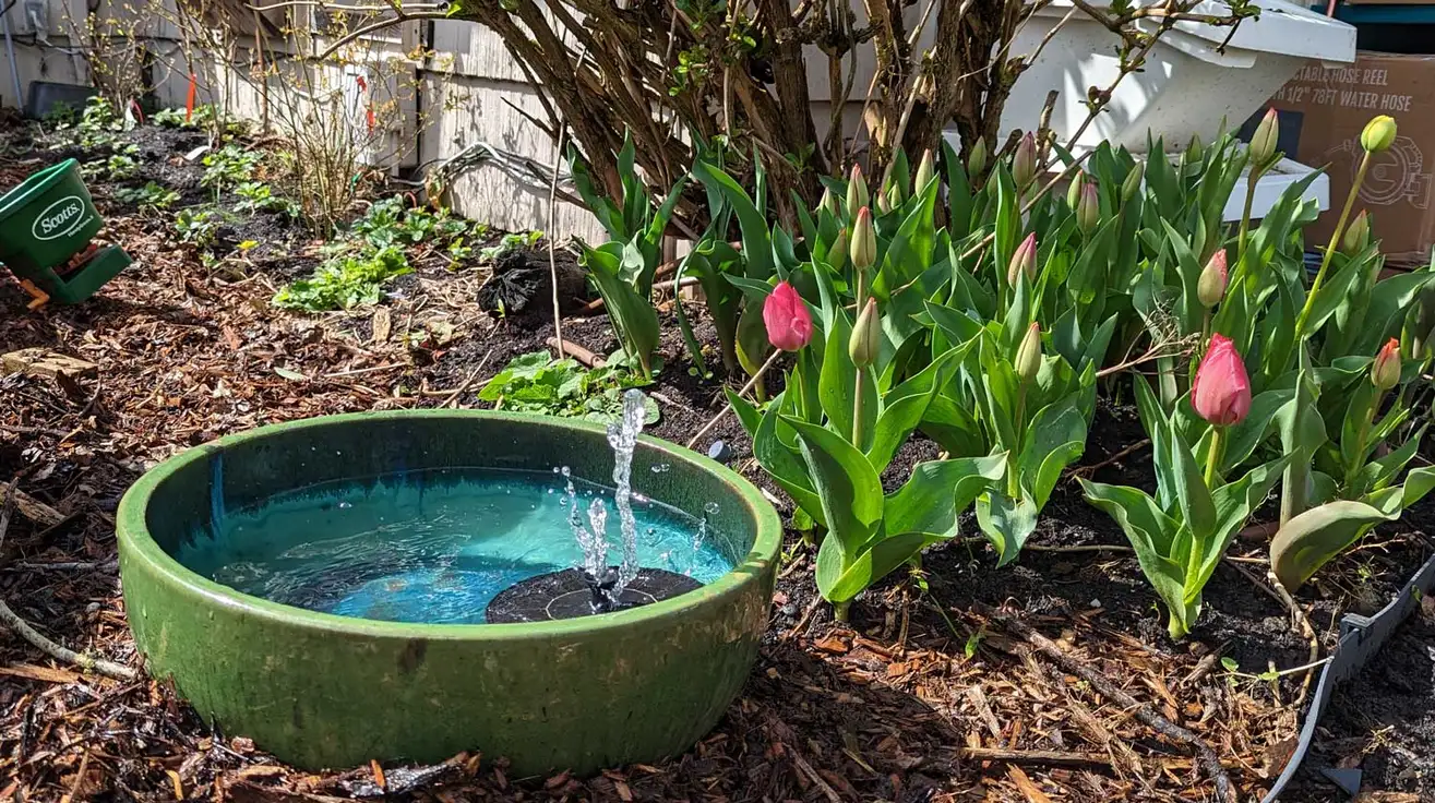 DIY Solar Powered Water Feature by life hacker
