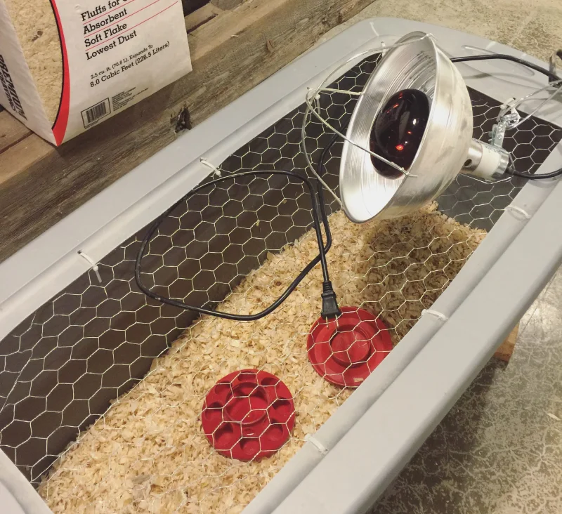 DIY Super Easy DIY Chicken Brooder Box by Little Red Farmstead