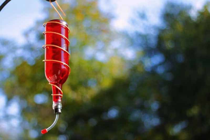 DIY Wine Bottle Bird Feeder