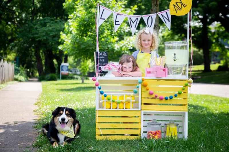 DIY Lemonade Stand Plans
