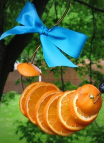 How_to_Build_a_DIY_Oriole_Feeder