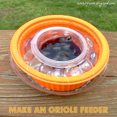 Make_An_Easy_Oriole_Feeder