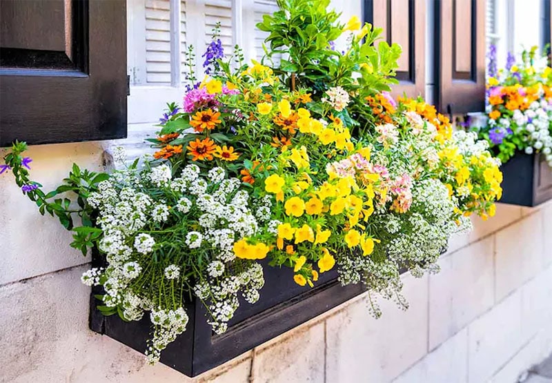 15 DIY Window Box Plans You Can Build Today (with Pictures) | House Grail