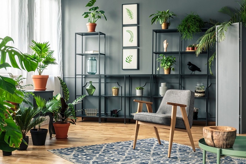 A chair on a patterned rug in a botanic room interior full of plants