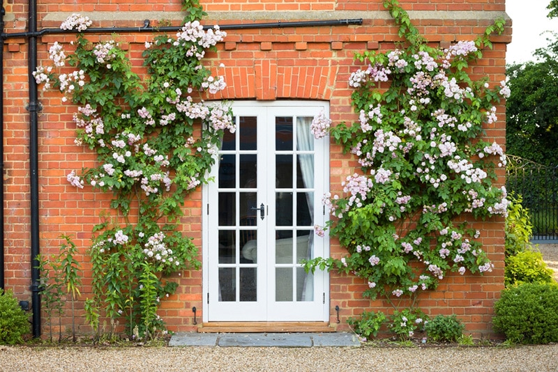 Let the Light in with French Doors