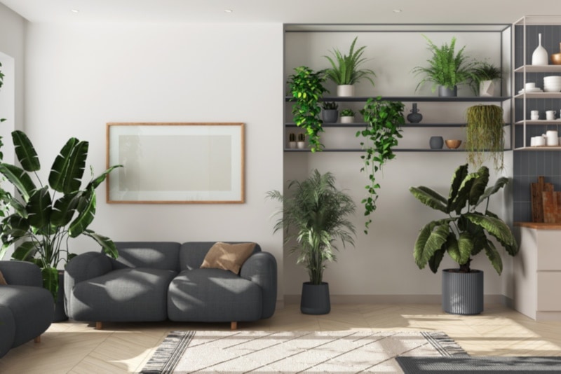 Indoor home garden concept