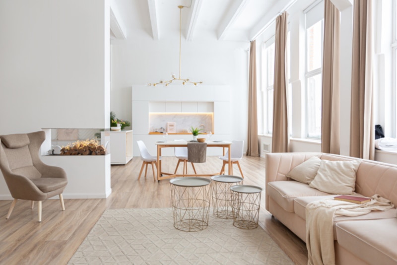 Spacious bright studio apartment