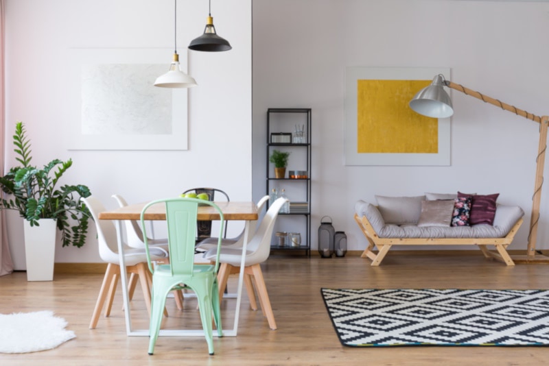 Spacious room with plant