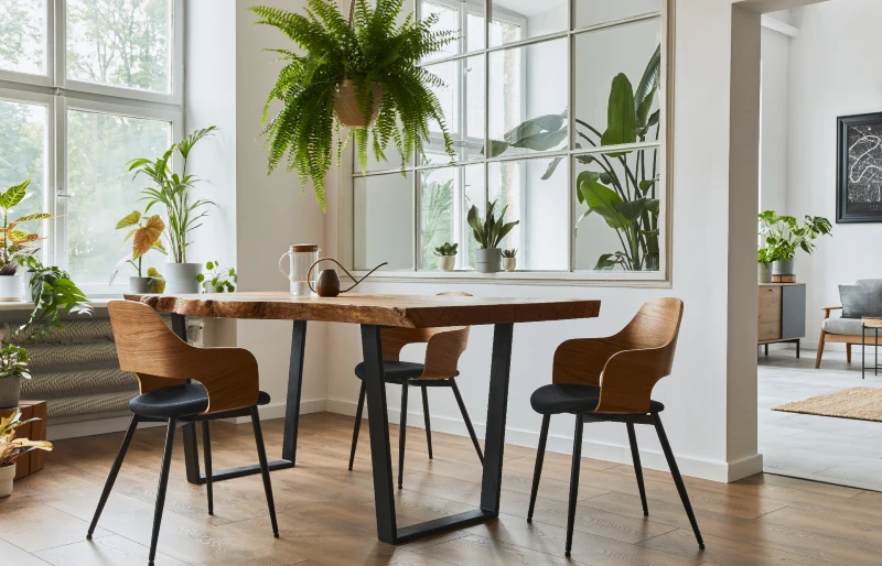 dining interior with craft wooden table, chairs, plants